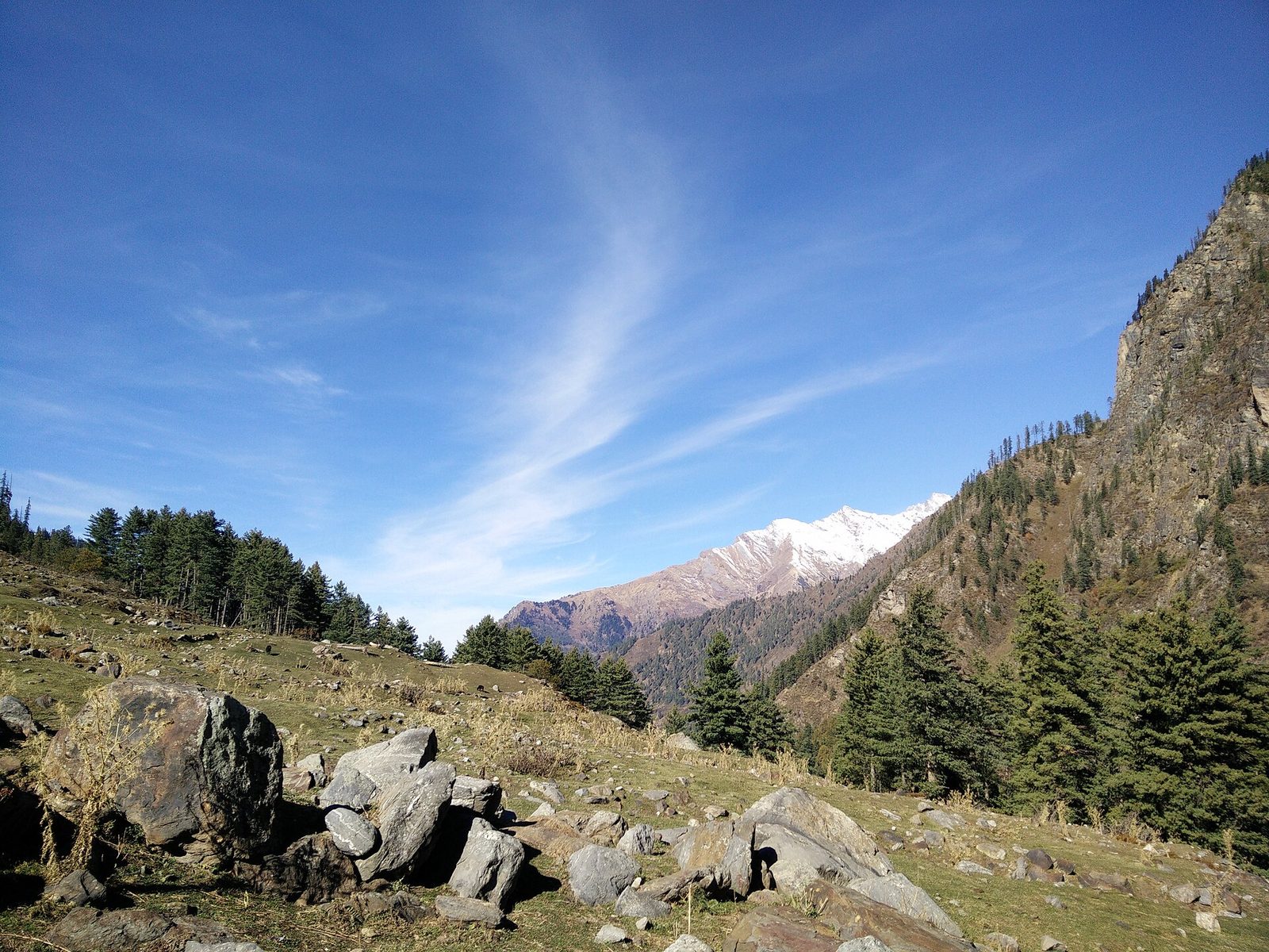 Green Himalayan slopes of the Parvati Valley
