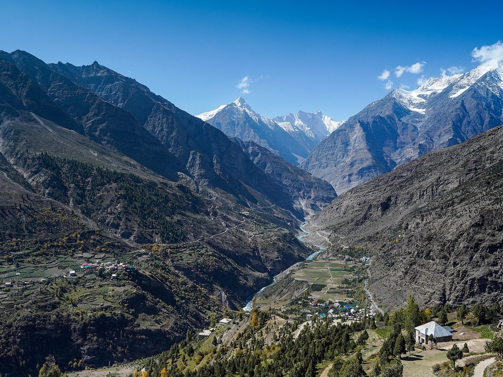 Snow-clad Dhauladhar mountain range above Kangra Valley