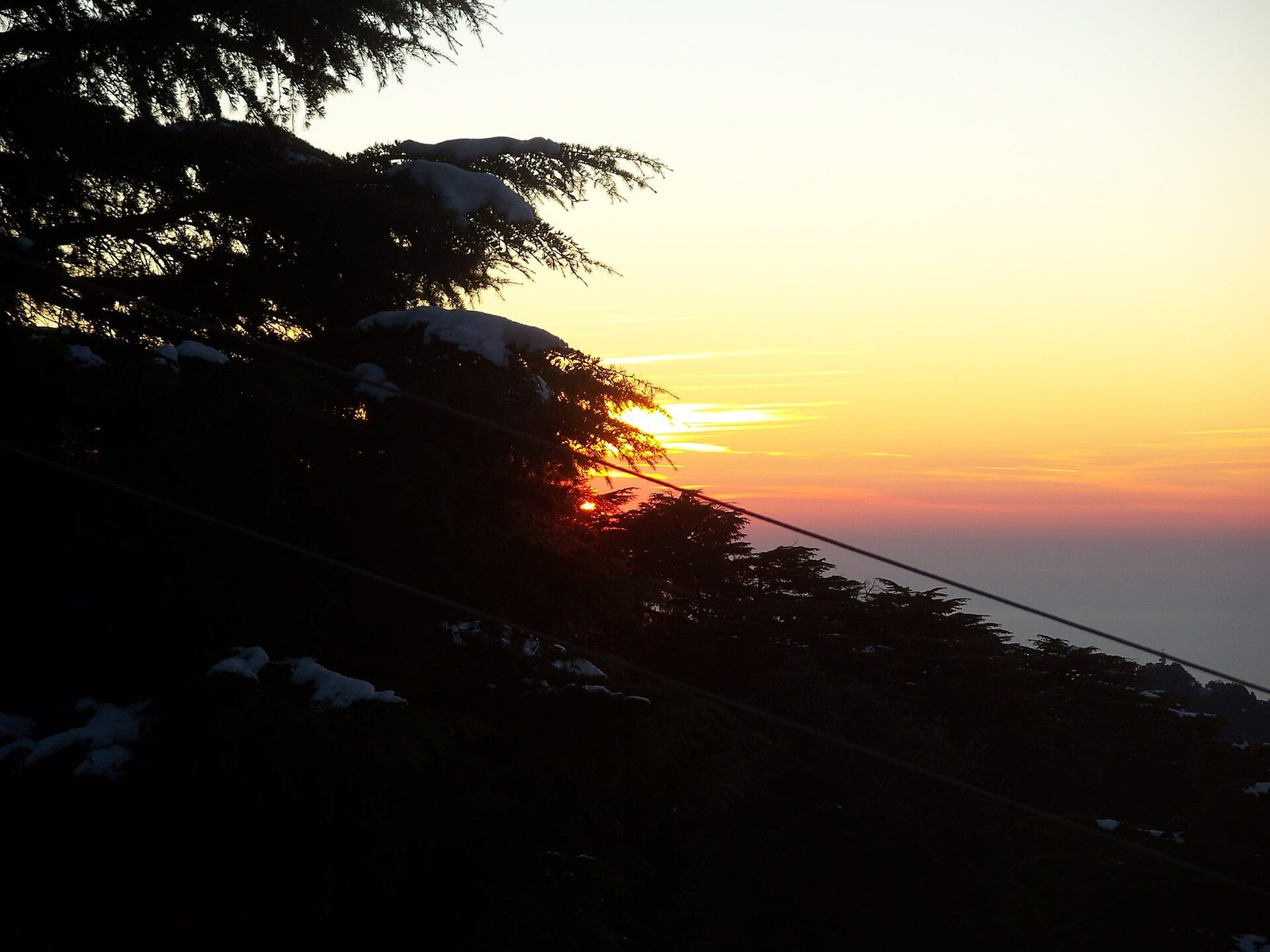 Kalatop forest sanctuary near Dalhousie