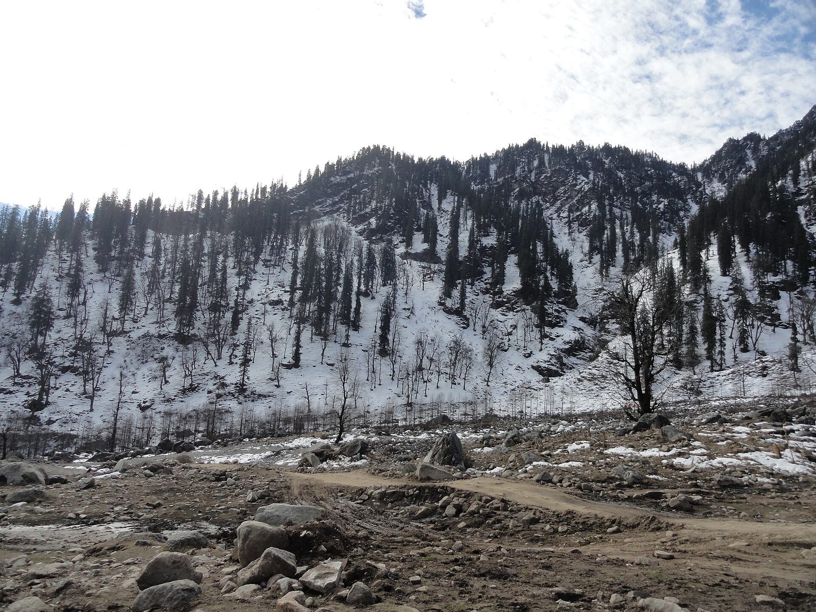 Solang Valley meadows and snow peaks near Manali