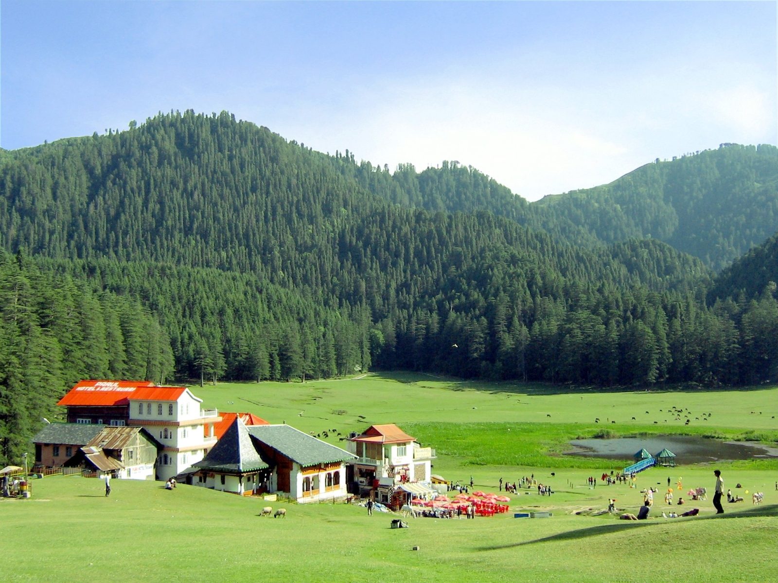 Khajjiar meadow ringed by deodar forest