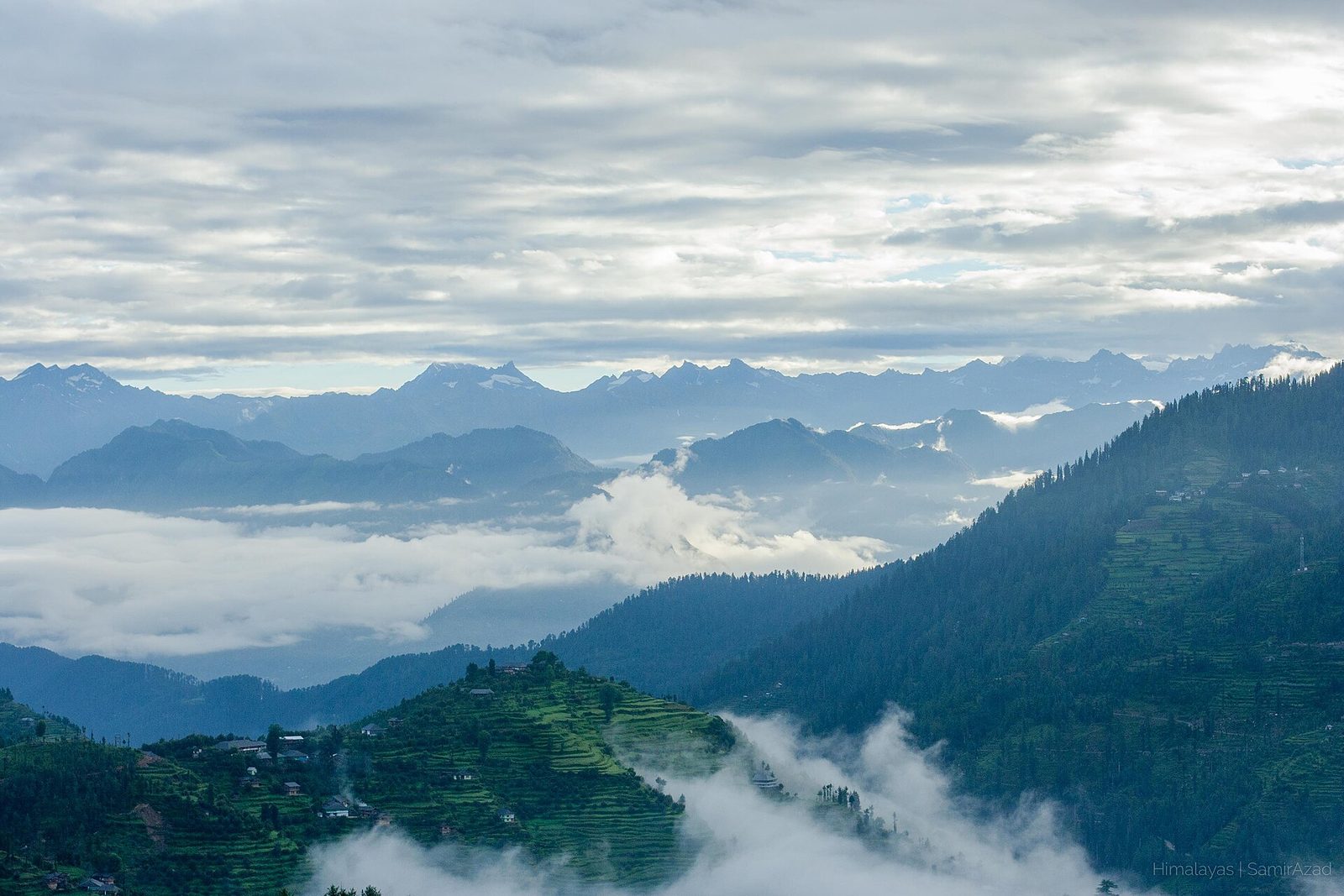 Forest trails of the Great Himalayan National Park